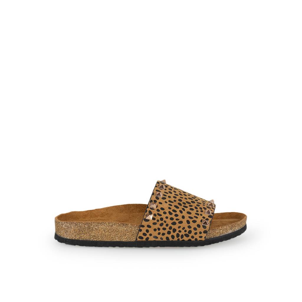 ZIAN en color CAMEL (2)