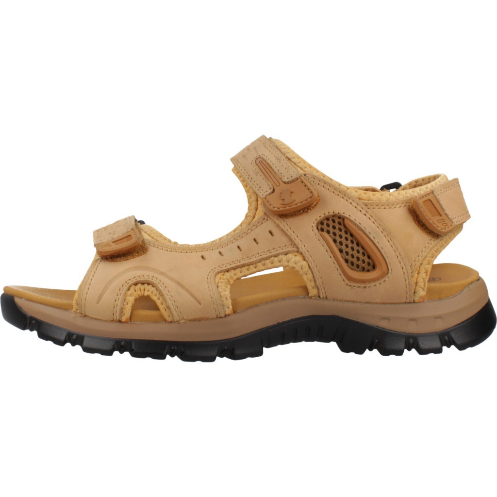 CORONEL TAPIOCCA T en color MSTZA (2)