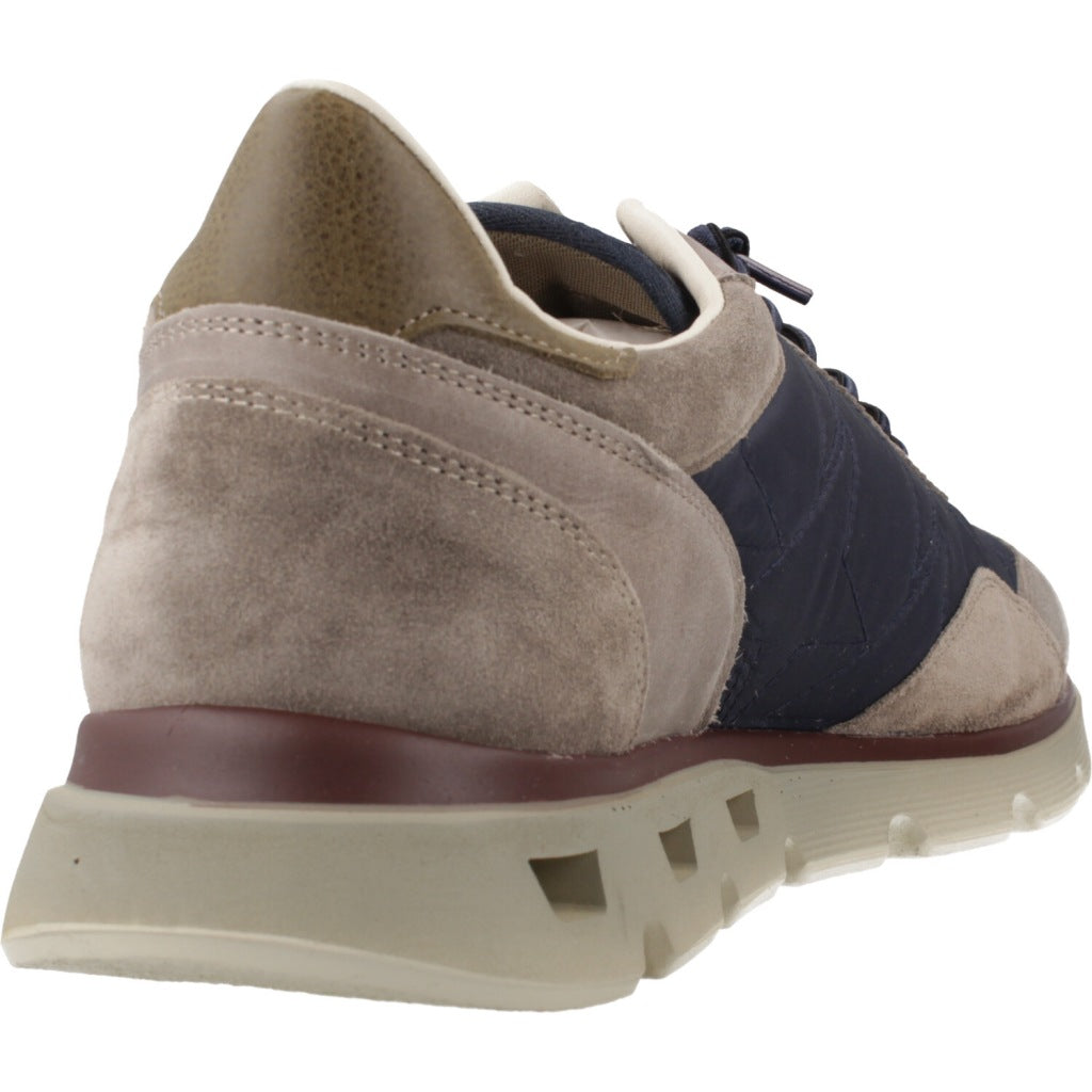 CETTI C INV en color OXDNVY (3)