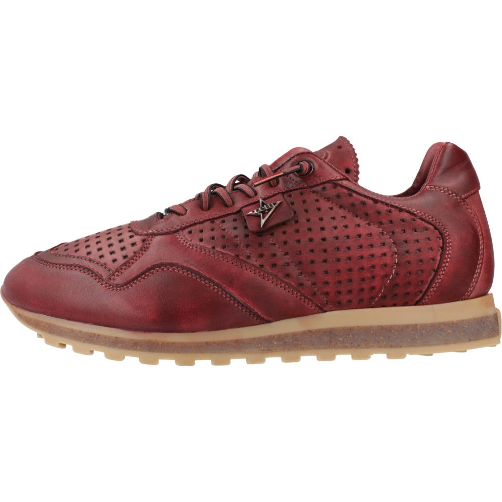 CETTI C INV en color BRDS (2)