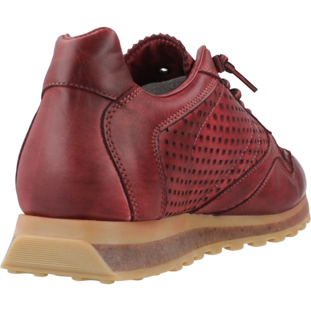 CETTI C INV en color BRDS (3)