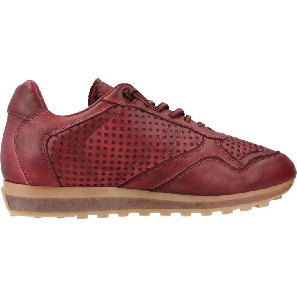 CETTI C INV en color BRDS (4)