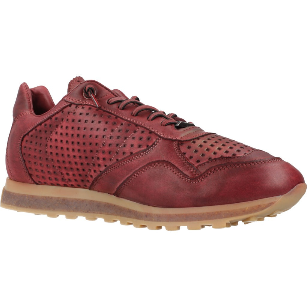 CETTI C INV en color BRDS (5)