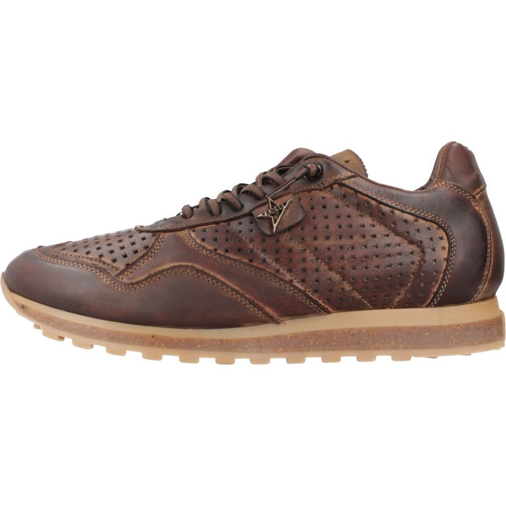 CETTI C INV en color MOKA (2)