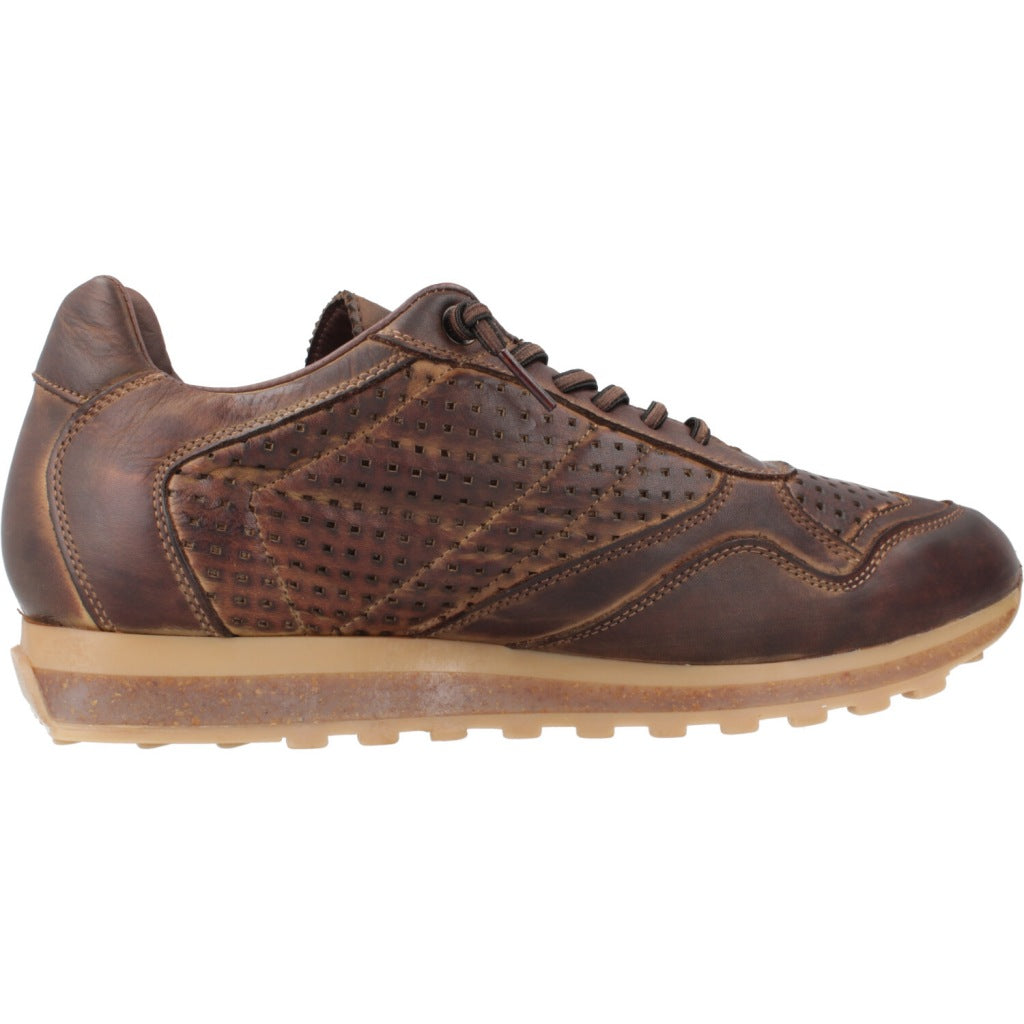 CETTI C INV en color MOKA (4)