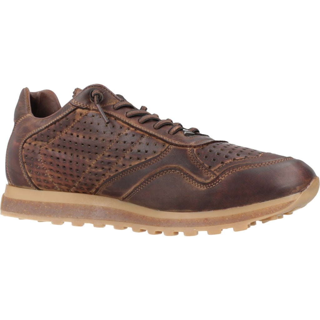 CETTI C INV en color MOKA (5)