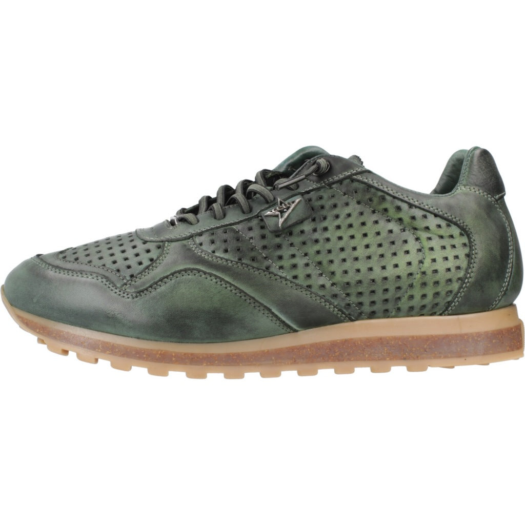 CETTI C INV en color MUSGO (2)