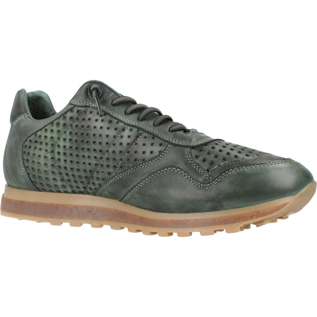 CETTI C INV en color MUSGO (5)