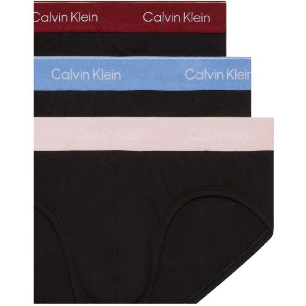 CALVIN KLEIN HIP BRIEF PK en color VA (4)