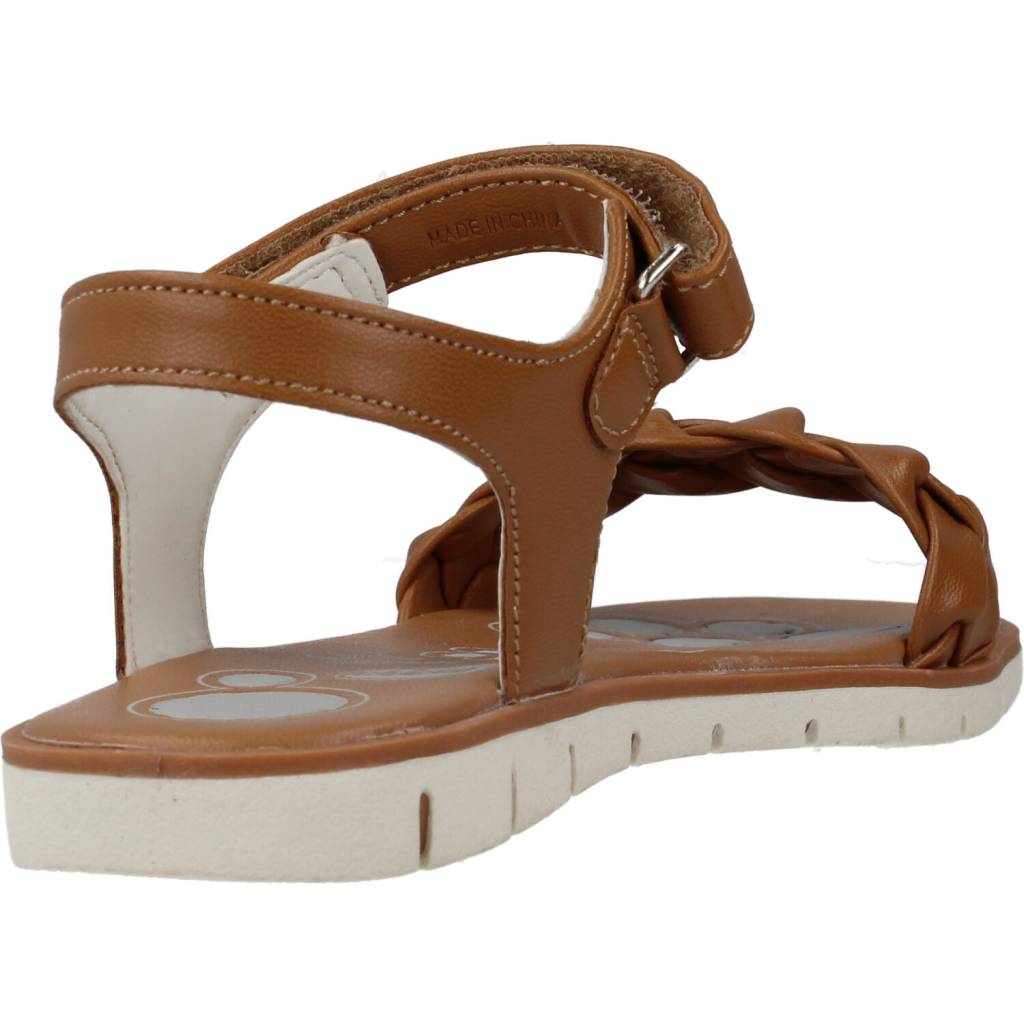 CHICCO CAMELIA en color (3)