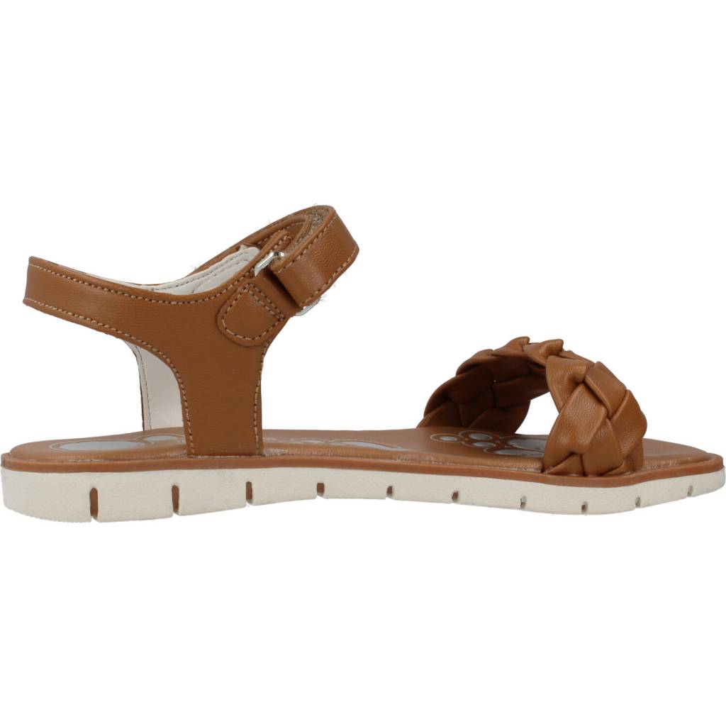 CHICCO CAMELIA en color (5)