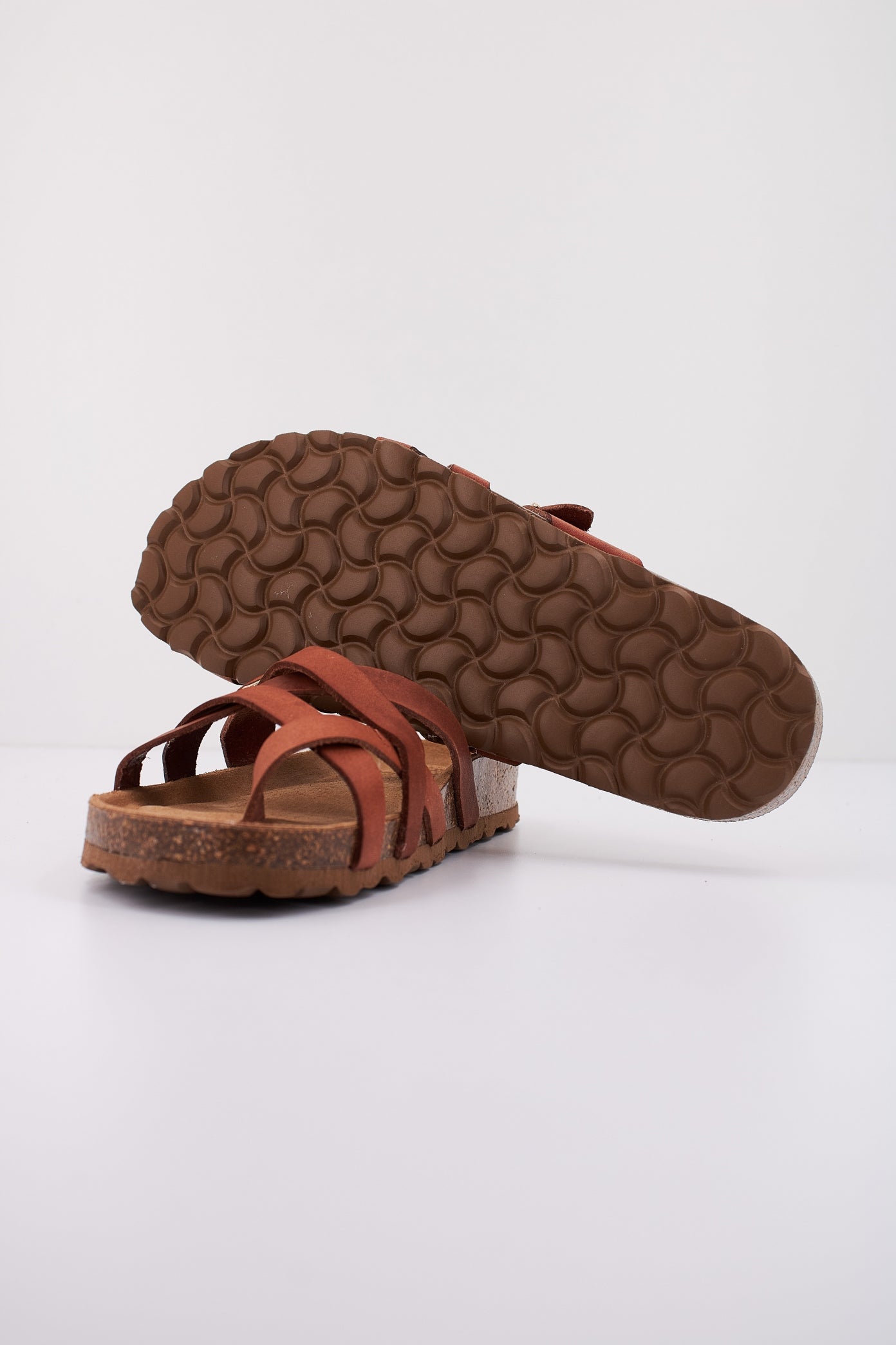 THE HAPPY MONK POMPEYA en color NUEZ (4)