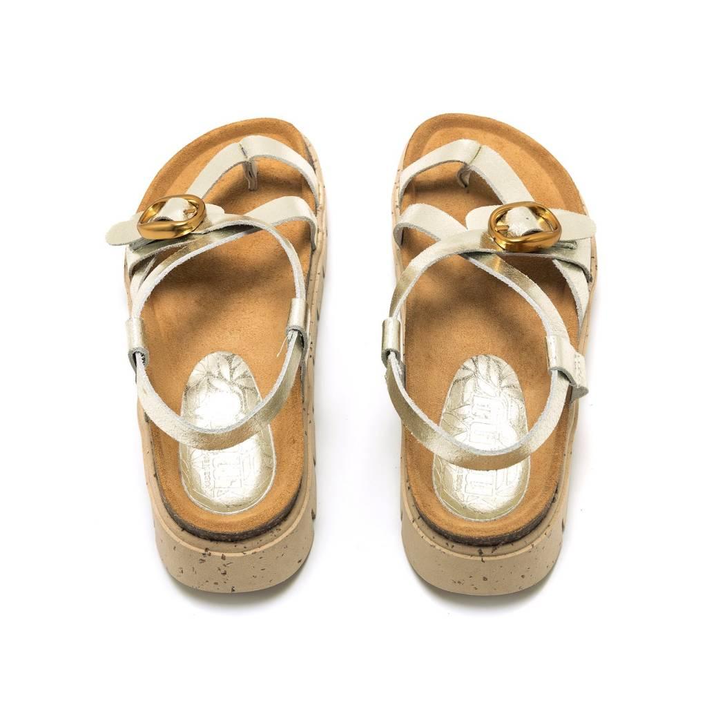 MTNG en color ORO (5)