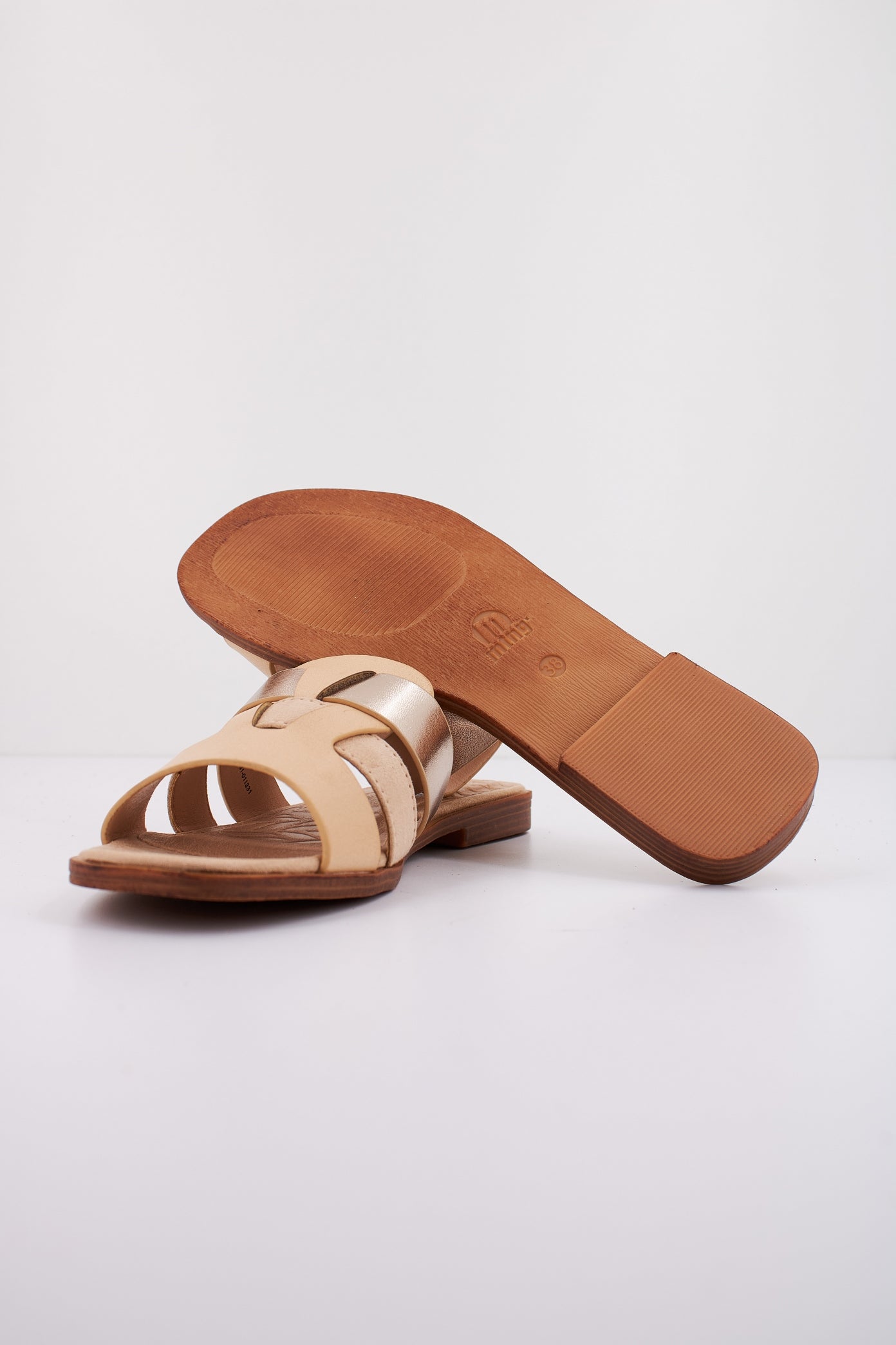 MTNG M en color C (4)