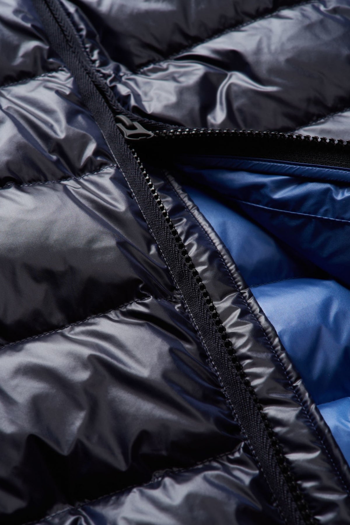 BLAUER SMANICATI IMBOTTITO en color (5)