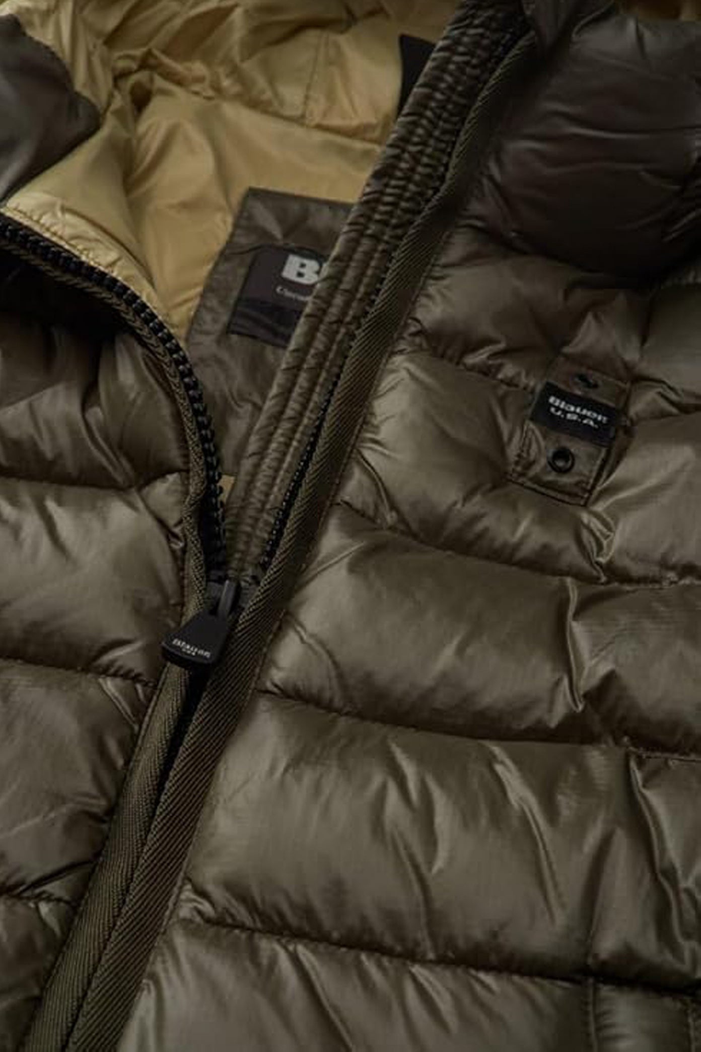 BLAUER ADELAIDE en color EG (4)