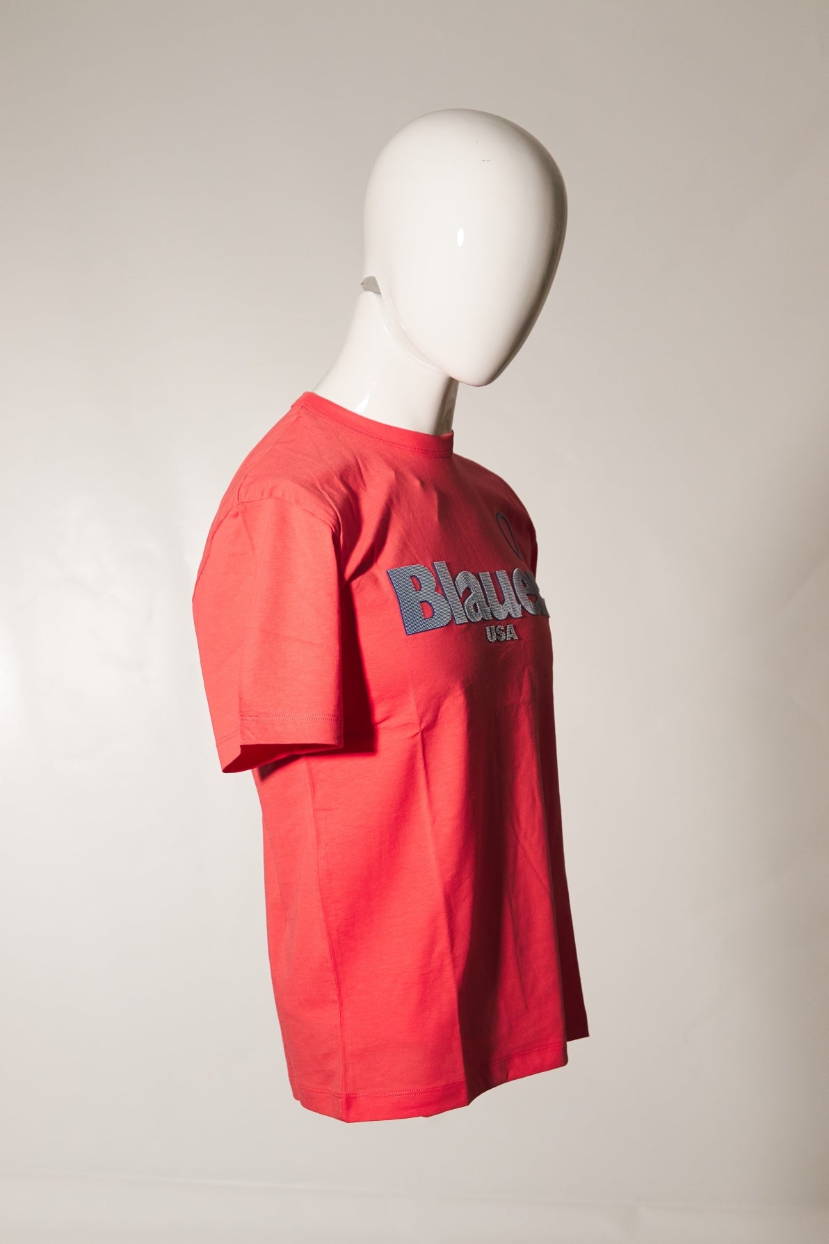 BLAUER FAVRE en color (2)
