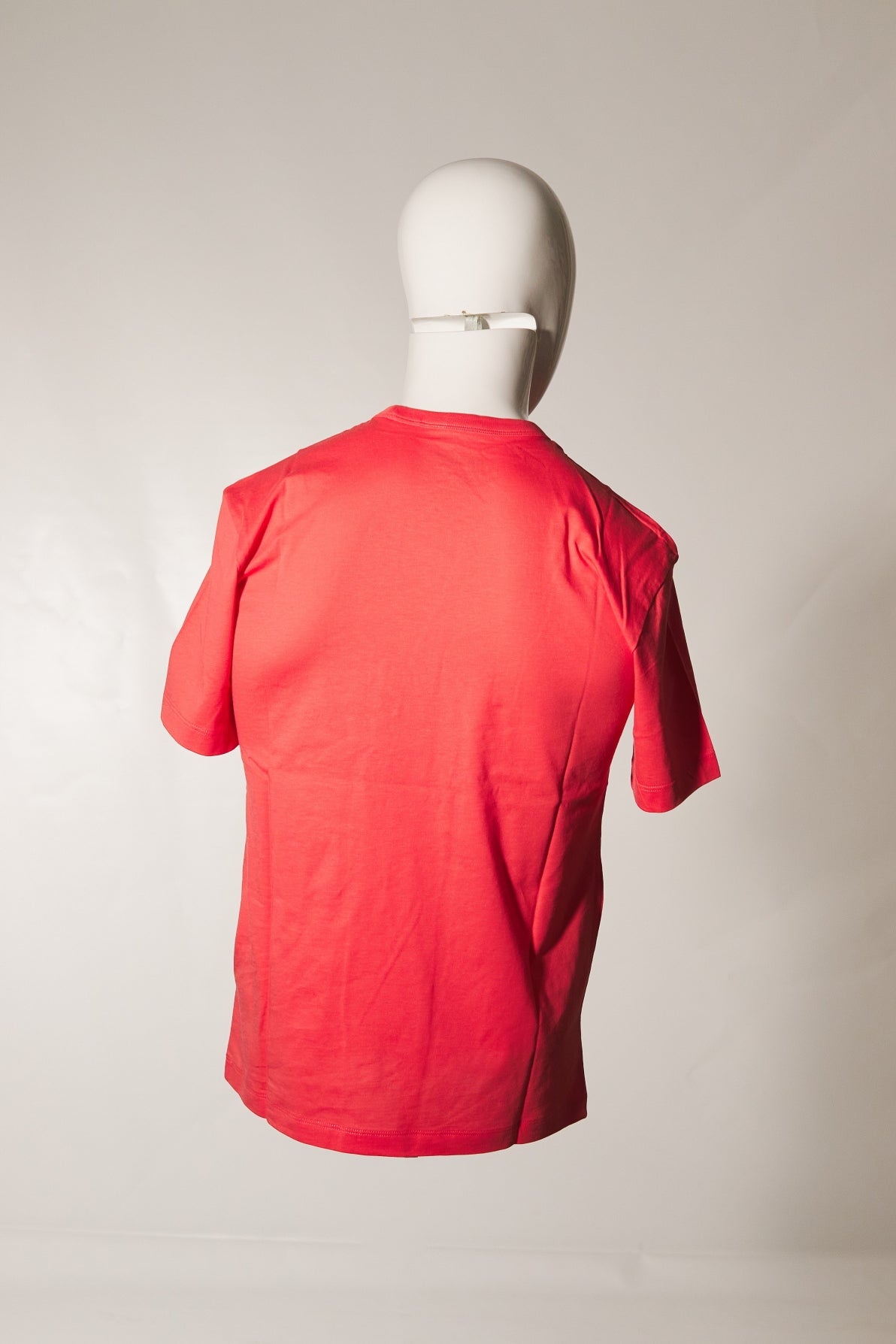 BLAUER FAVRE en color (3)