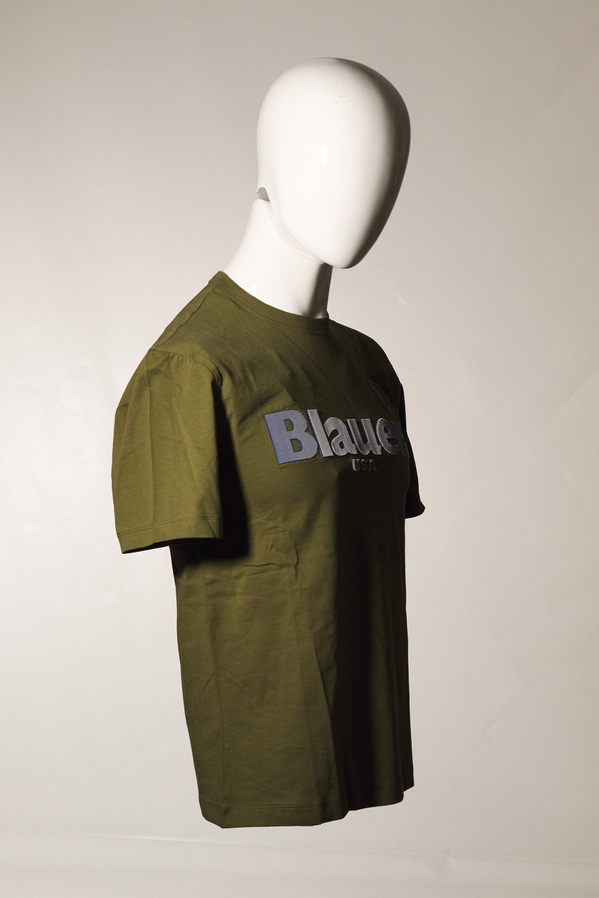 BLAUER FAVRE en color (2)