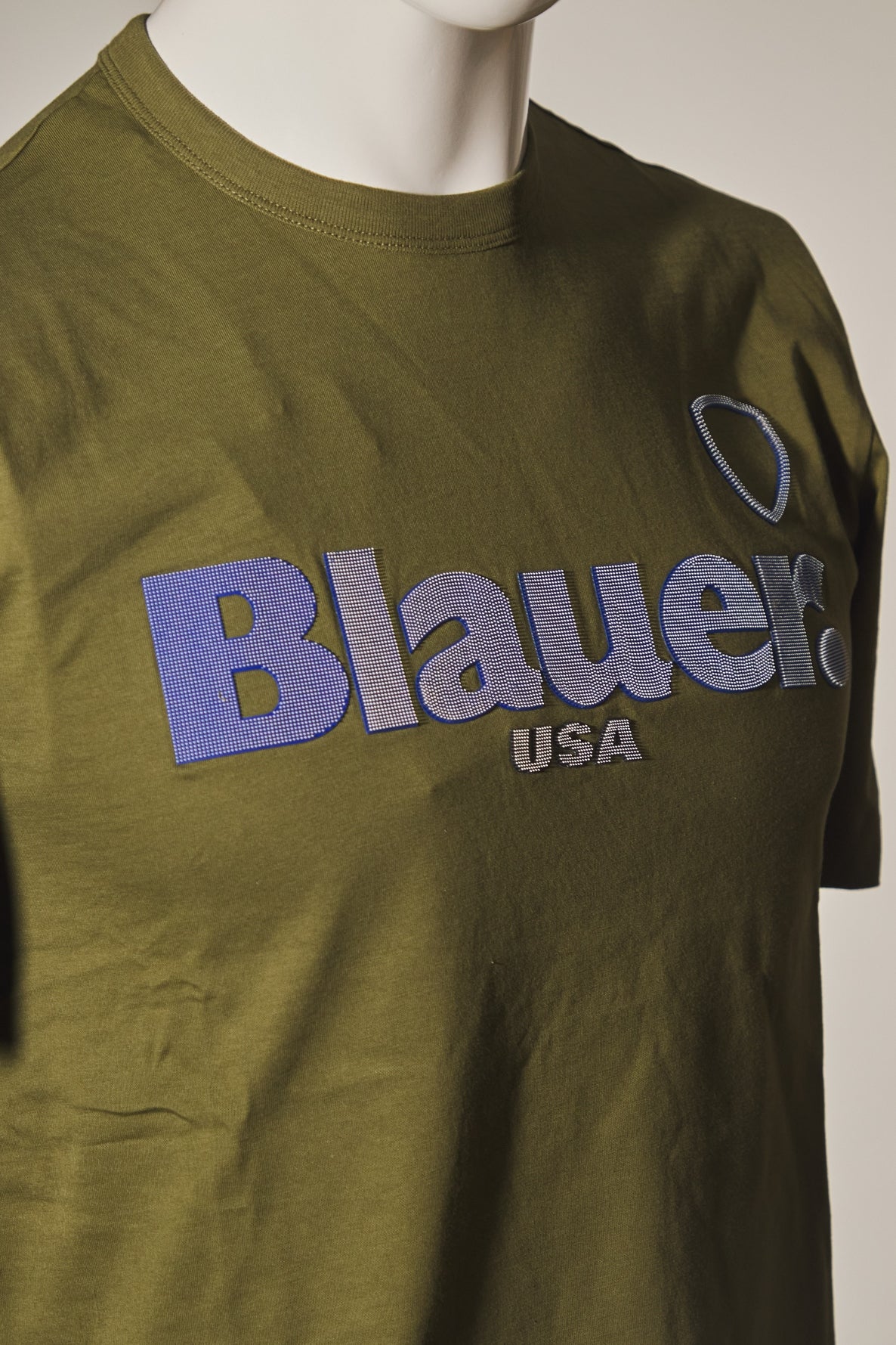 BLAUER FAVRE en color (4)