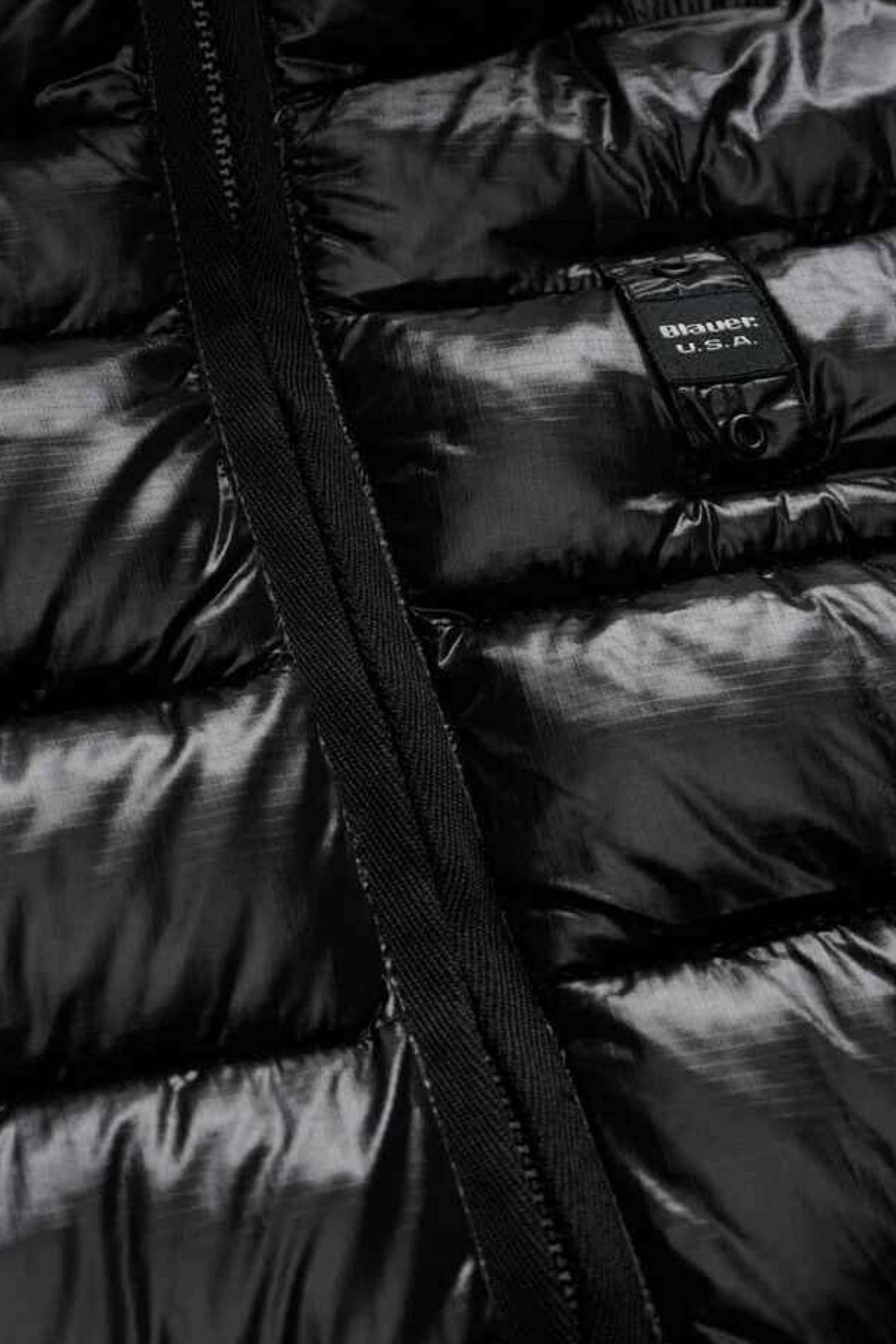 BLAUER ADELAIDE en color (4)