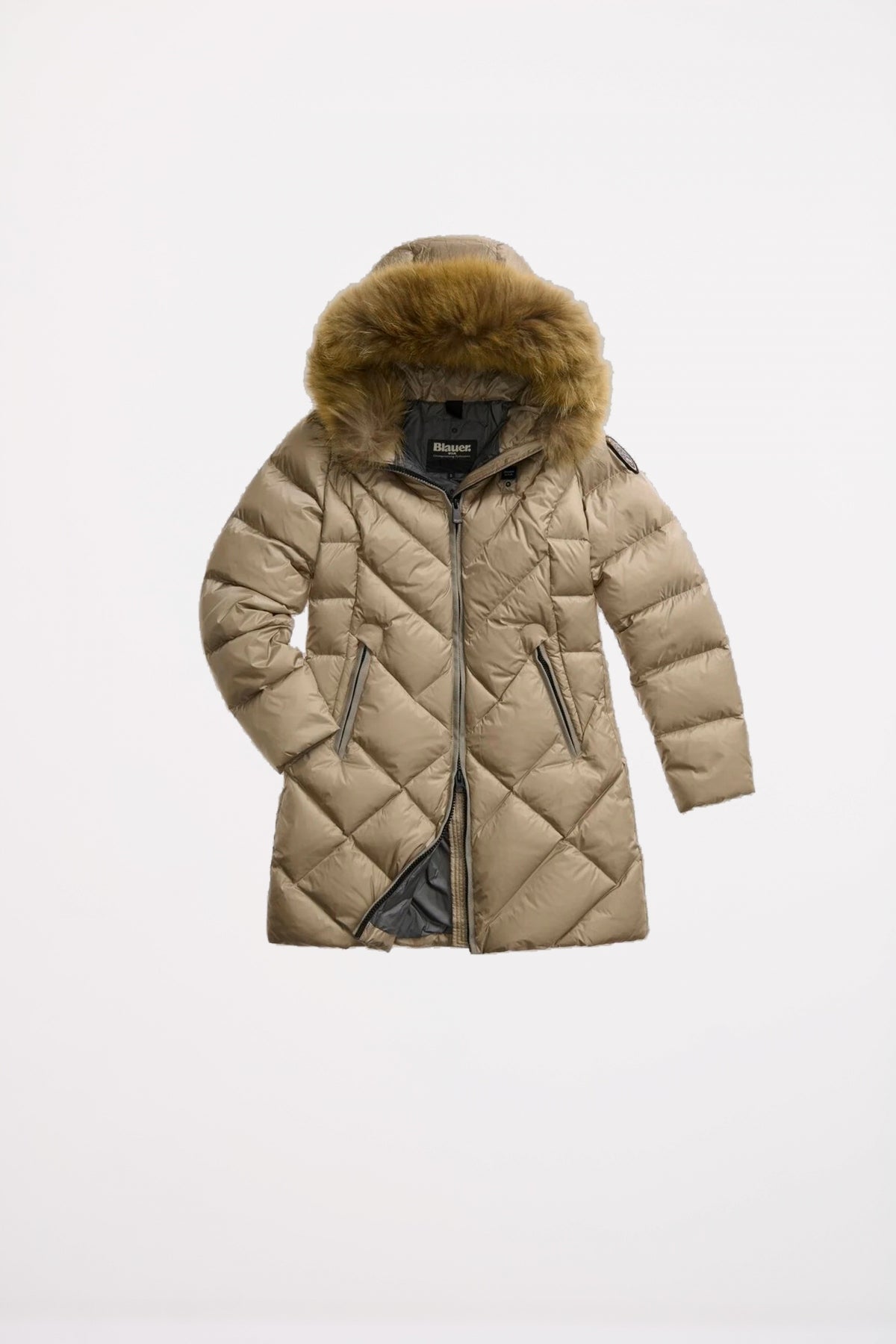 BLAUER ALTHEA en color (2)