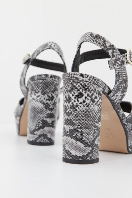 ÁNGEL ALARCÓN   en color BLANNEG  (4)