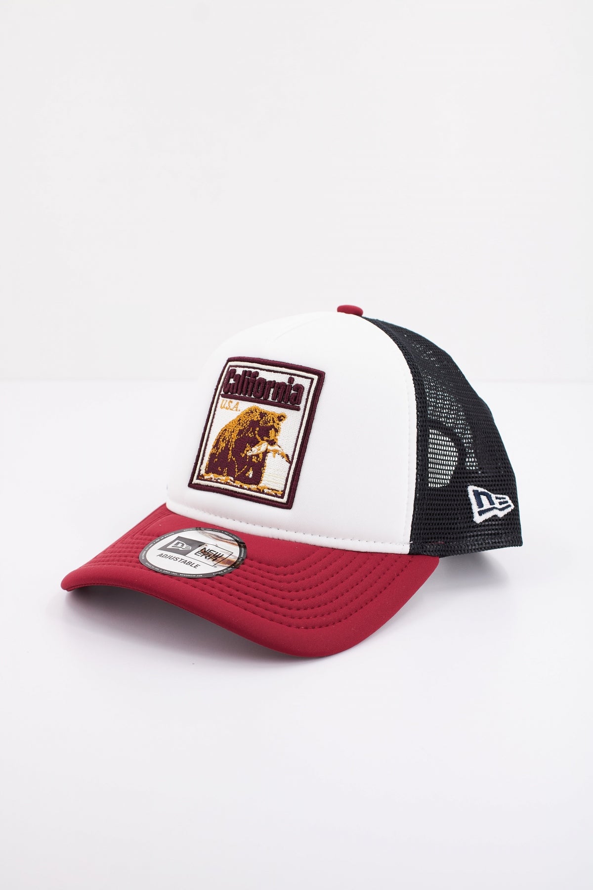 NEW ERA GRAPHIC PATCH TRUCKE en color WHICHJ  (1)