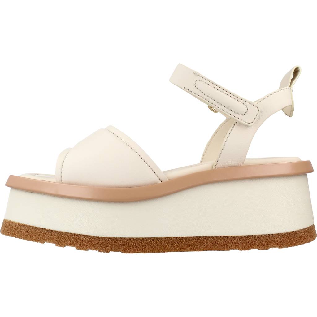 ELVIO ZANON EQX en color CAMNUD (2)