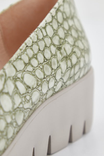 WONDERS DAMLA en color OIL (4)