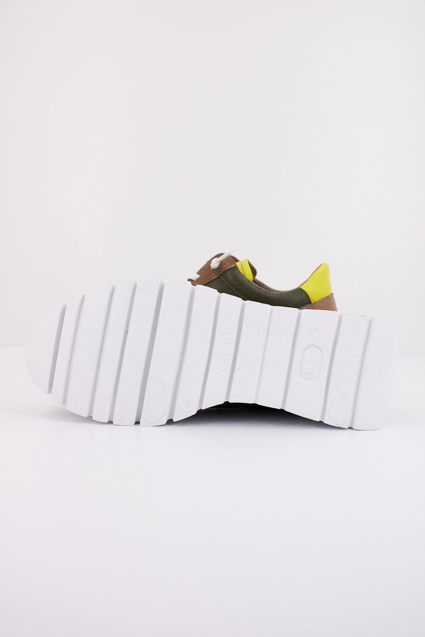 WONDERS A en color TPLGCYBR (5)