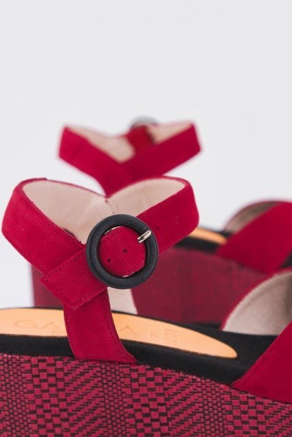 GADEA TUD en color TRISTAN (4)