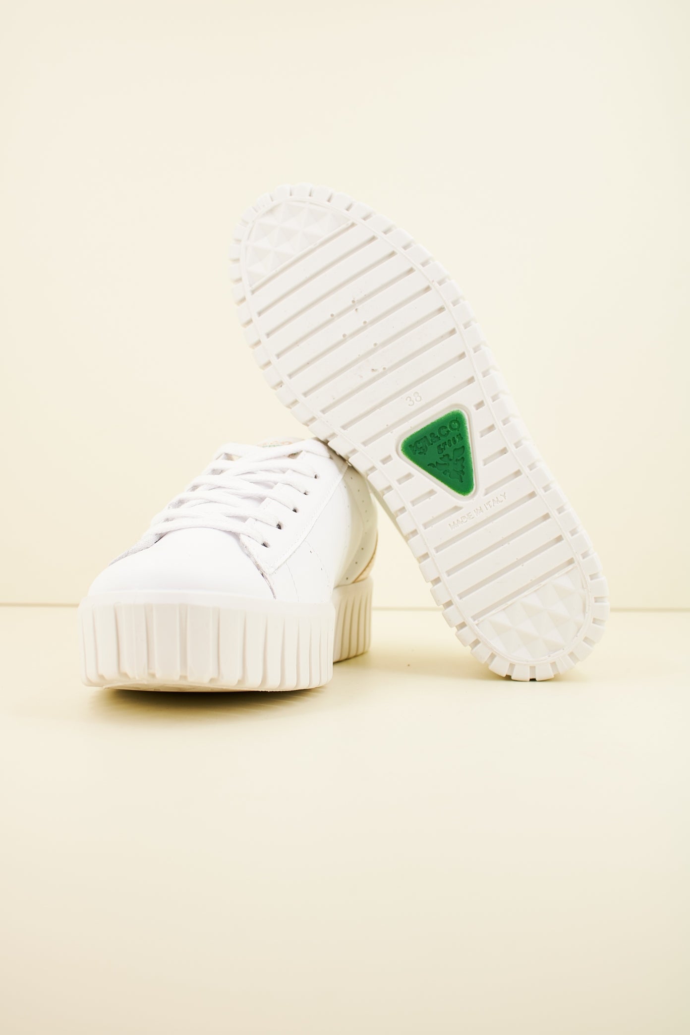 IGI&CO IG en color BNCOPLTN (4)