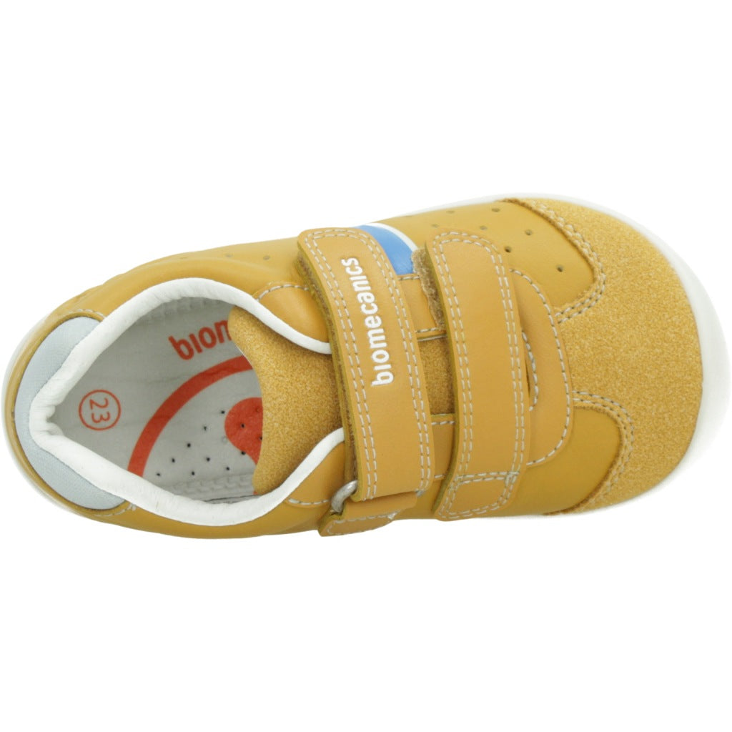 BIOMECANICS B en color YEMA (7)