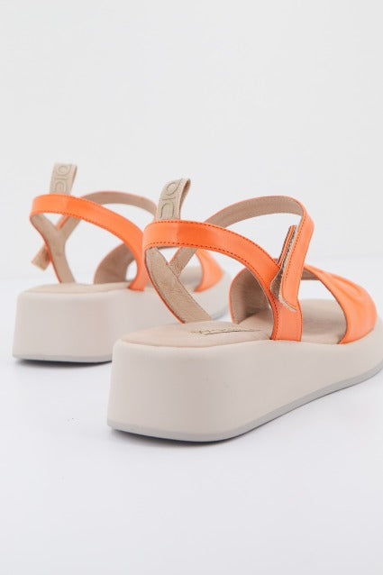 DORALATINA D en color NARANJA (3)