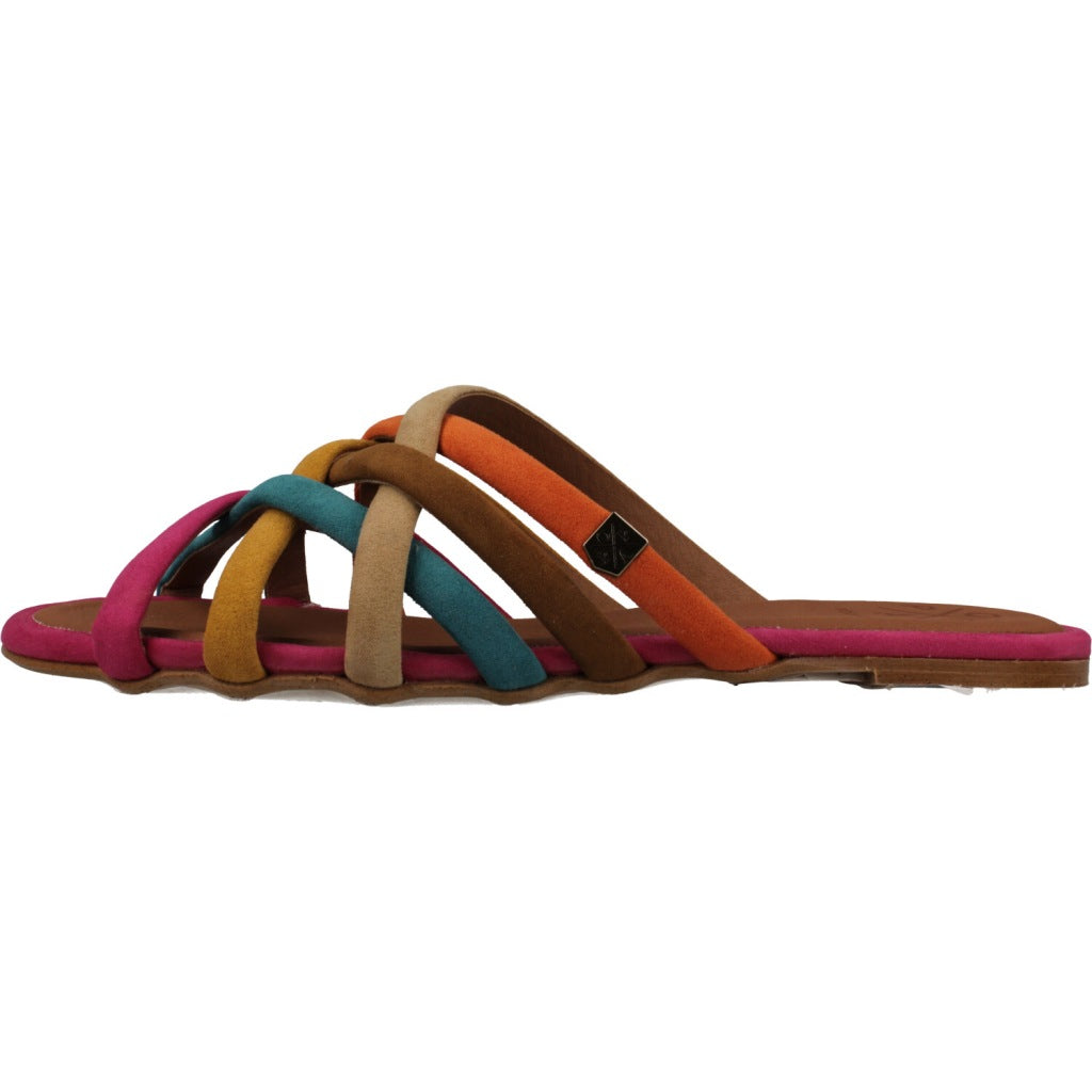 POPA MS en color MULTI (2)