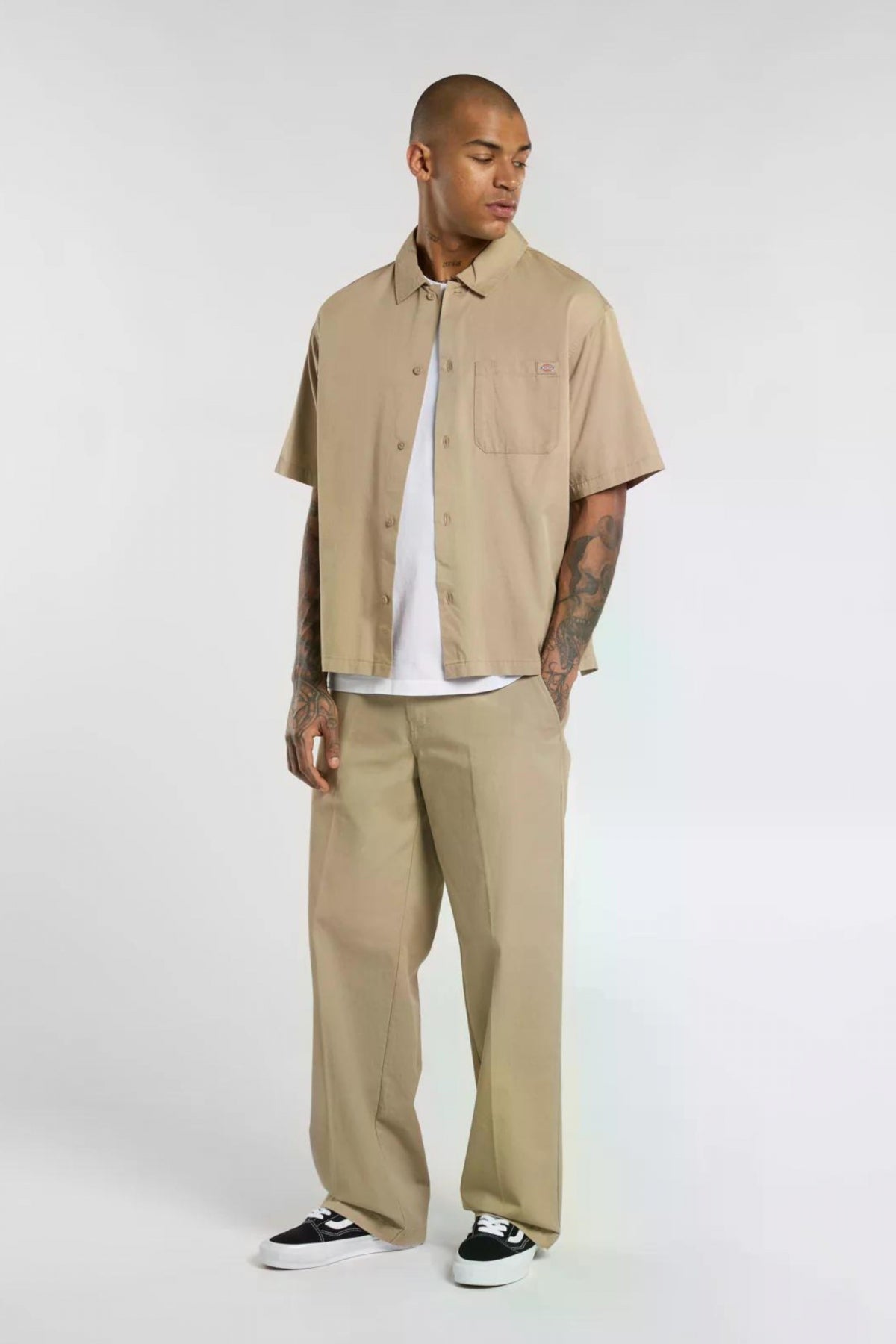 DICKIES LOOSE en color DS (4)