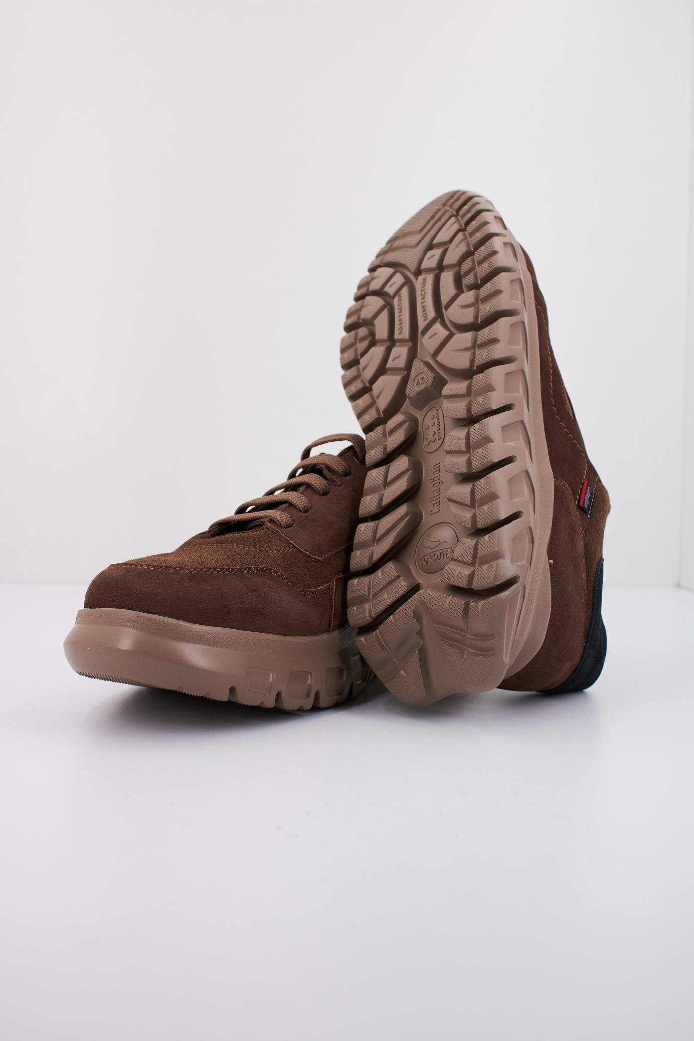 CALLAGHAN C en color TRUFA (5)