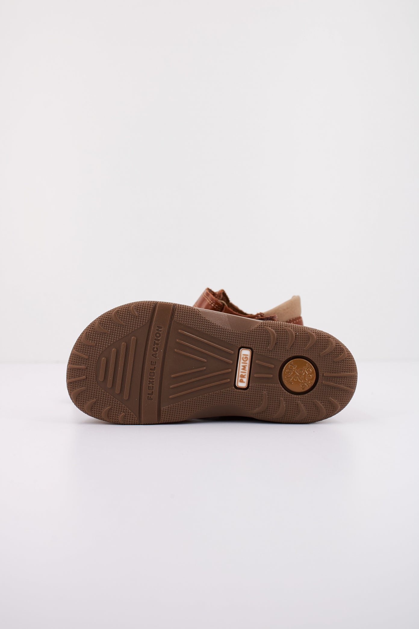 PRIMIGI P en color CGNBG (4)