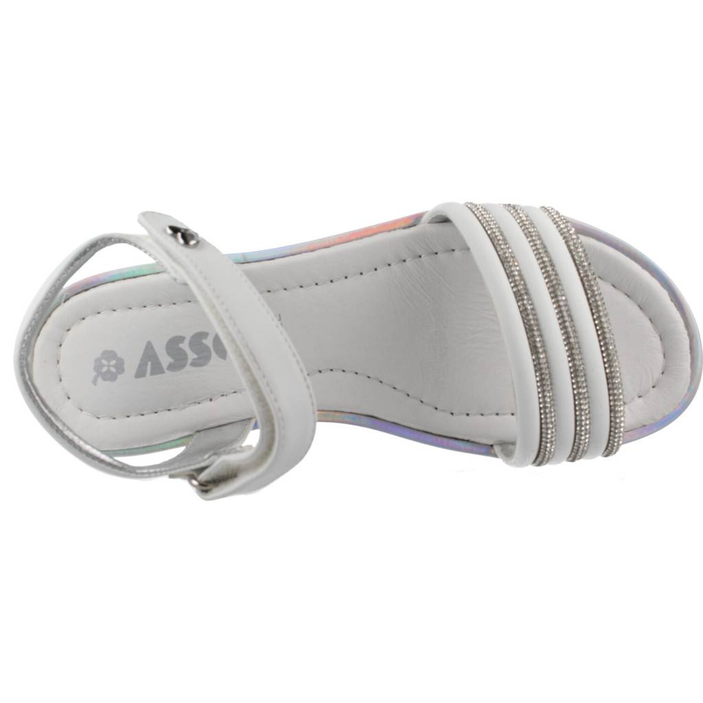 ASSO AG en color C (7)