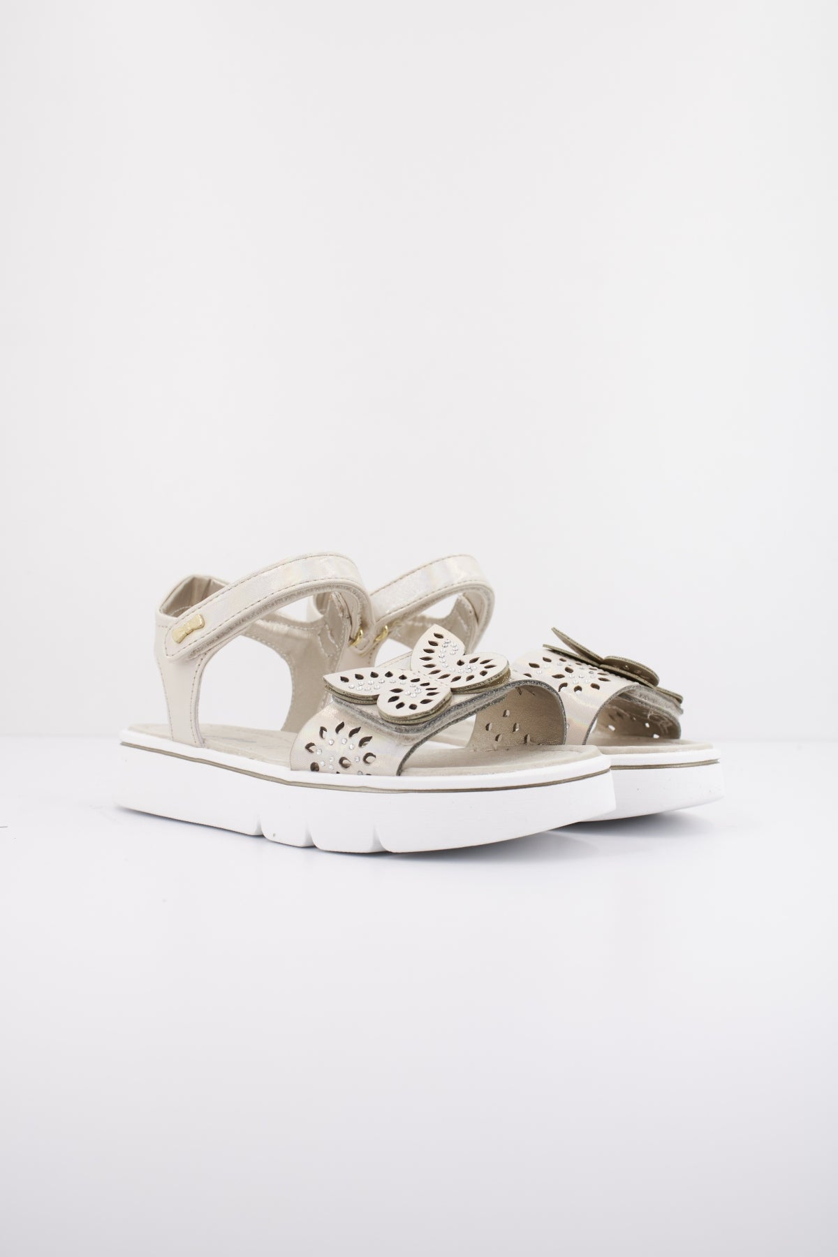 ASSO AG en color CIPRIA  (2)