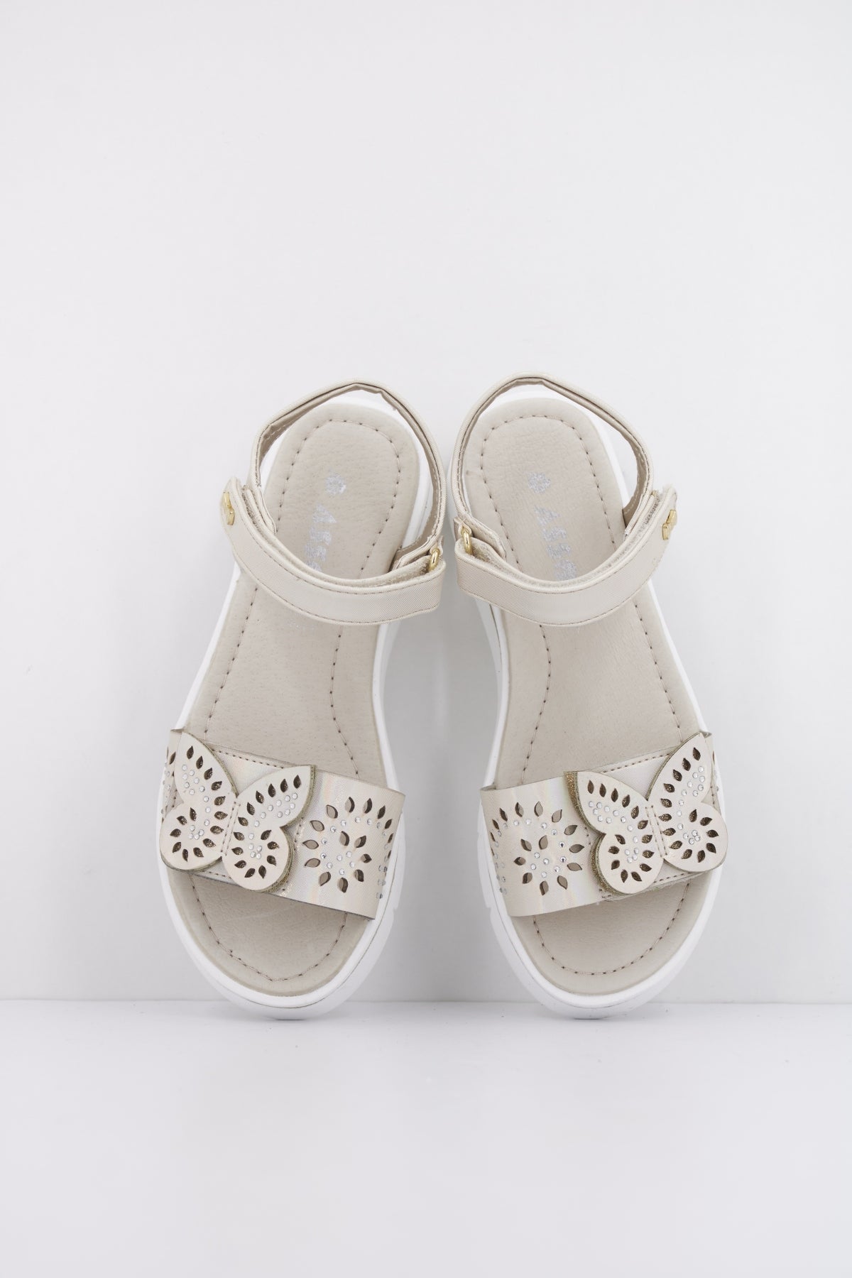 ASSO AG en color CIPRIA  (3)