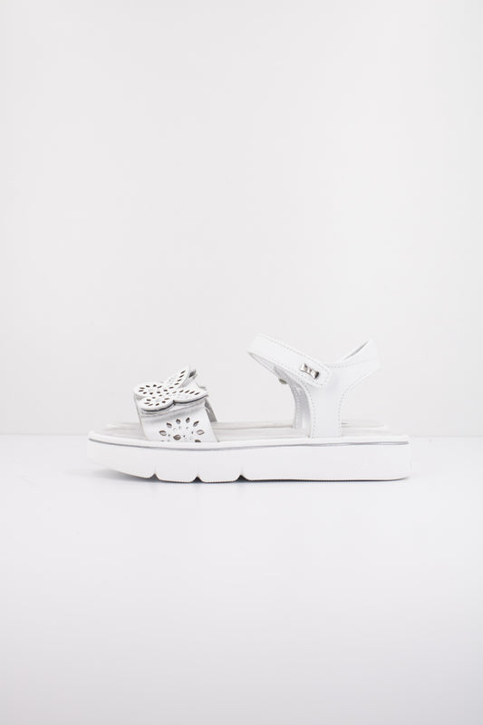 ASSO AG en color WHITE  (1)