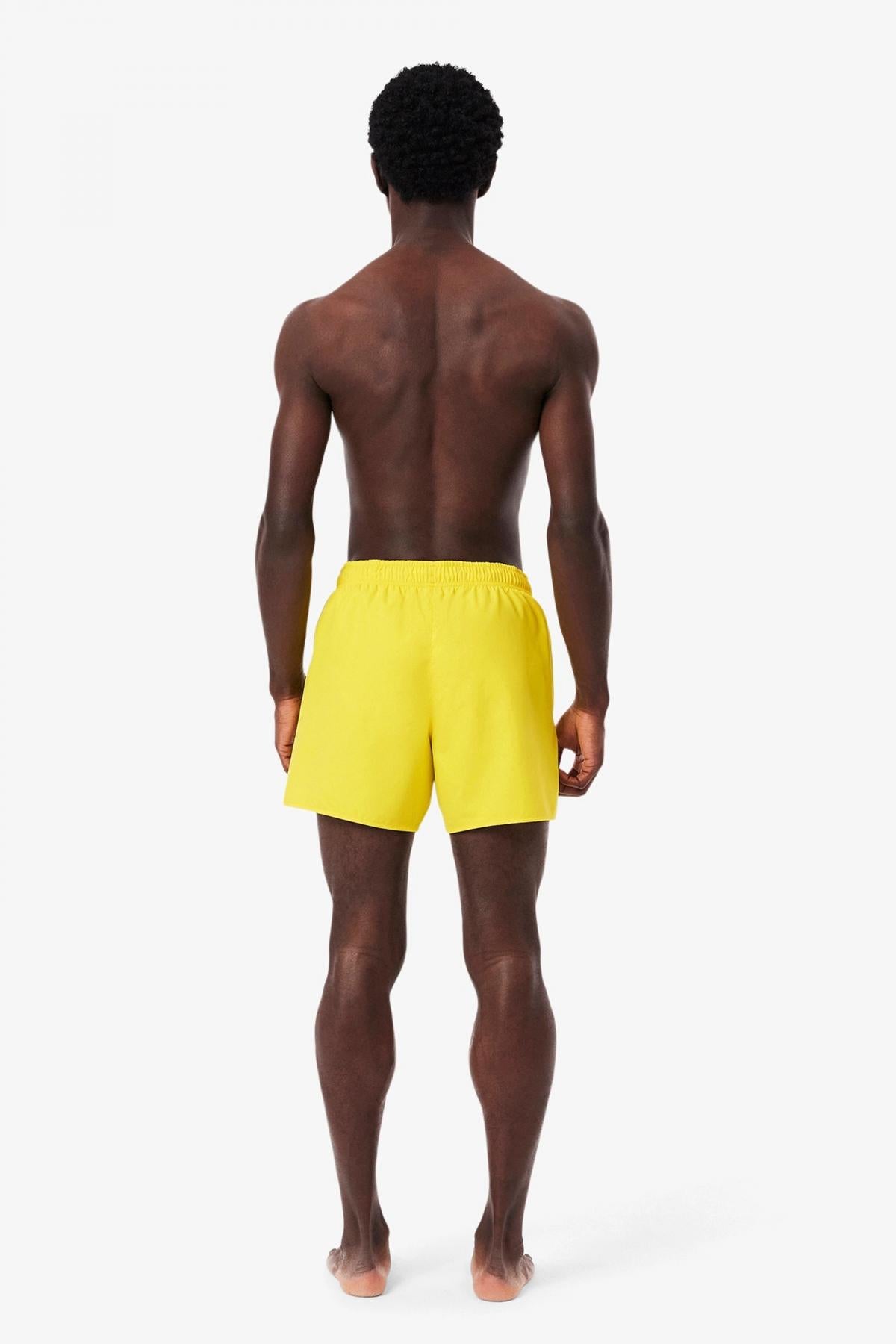 LACOSTE SLEEVED RIBBED COLLA en color PNPPLE (3)