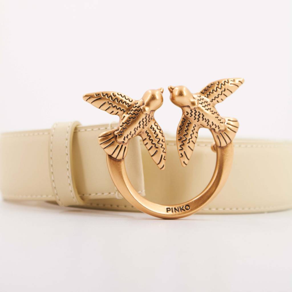 PINKO LOVE BERRY H BELT V en color SQ (6)