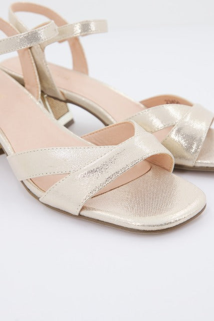 MENBUR M en color GOLD (4)