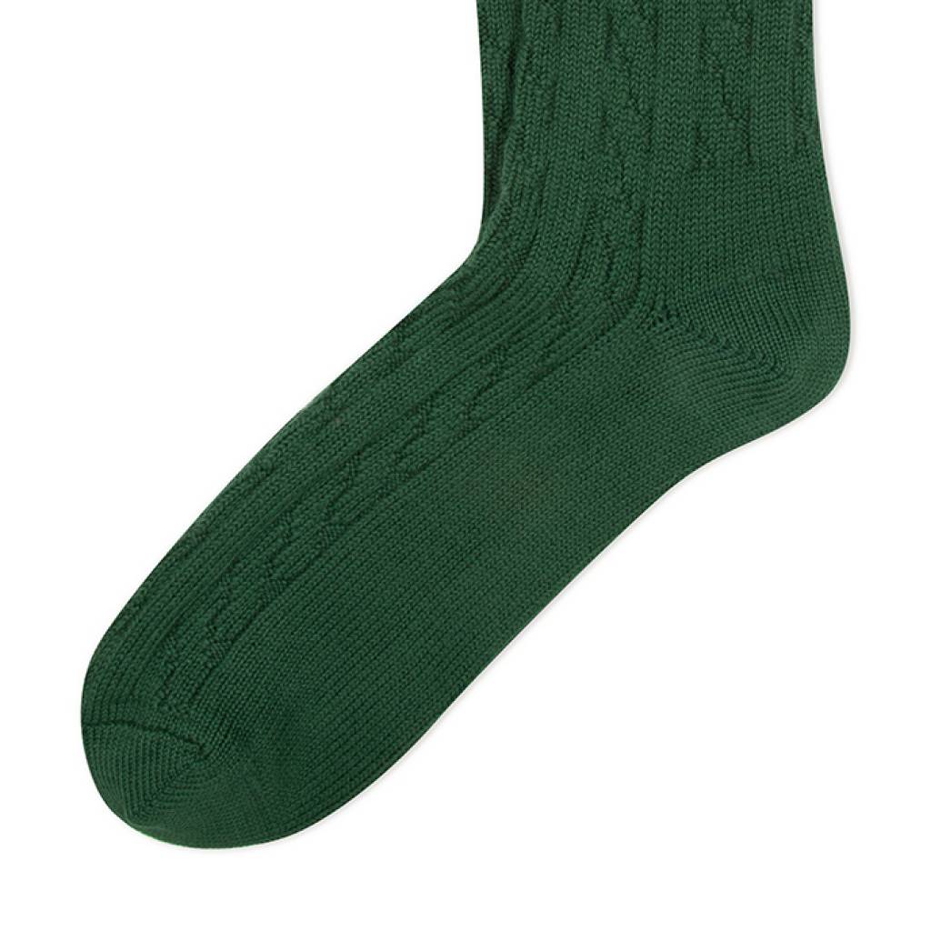 ANT MULL en color GBOTGREE (6)