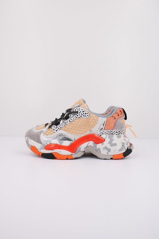 EXÉ  E en color GRYRNG  (1)