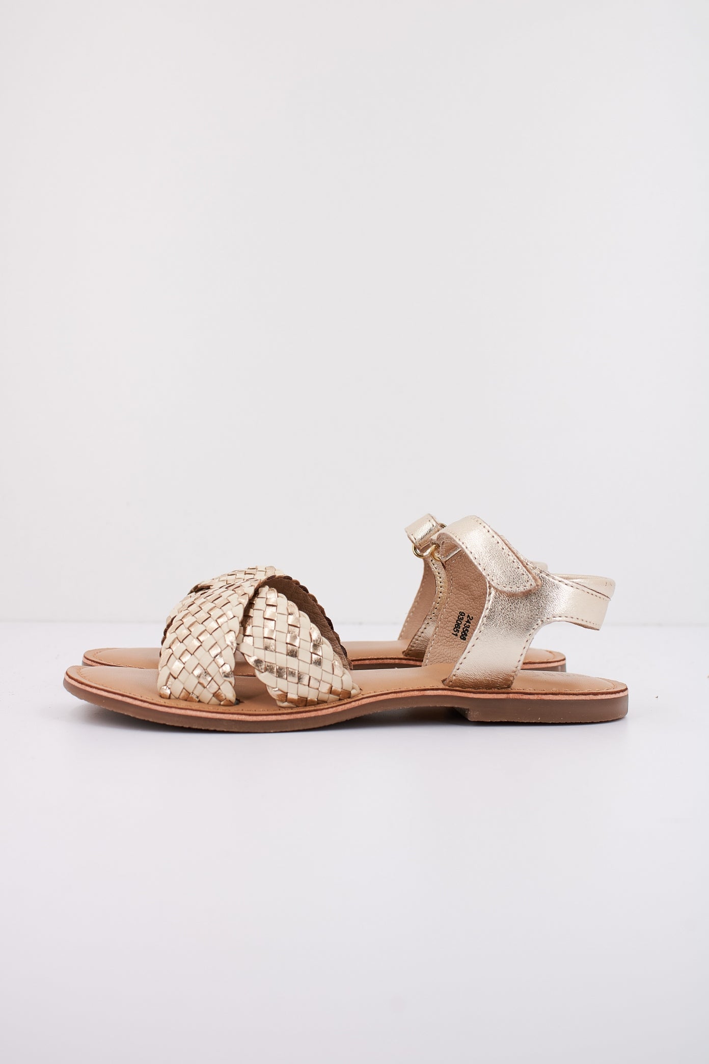 MOD  CANIBRAID en color OR  (1)