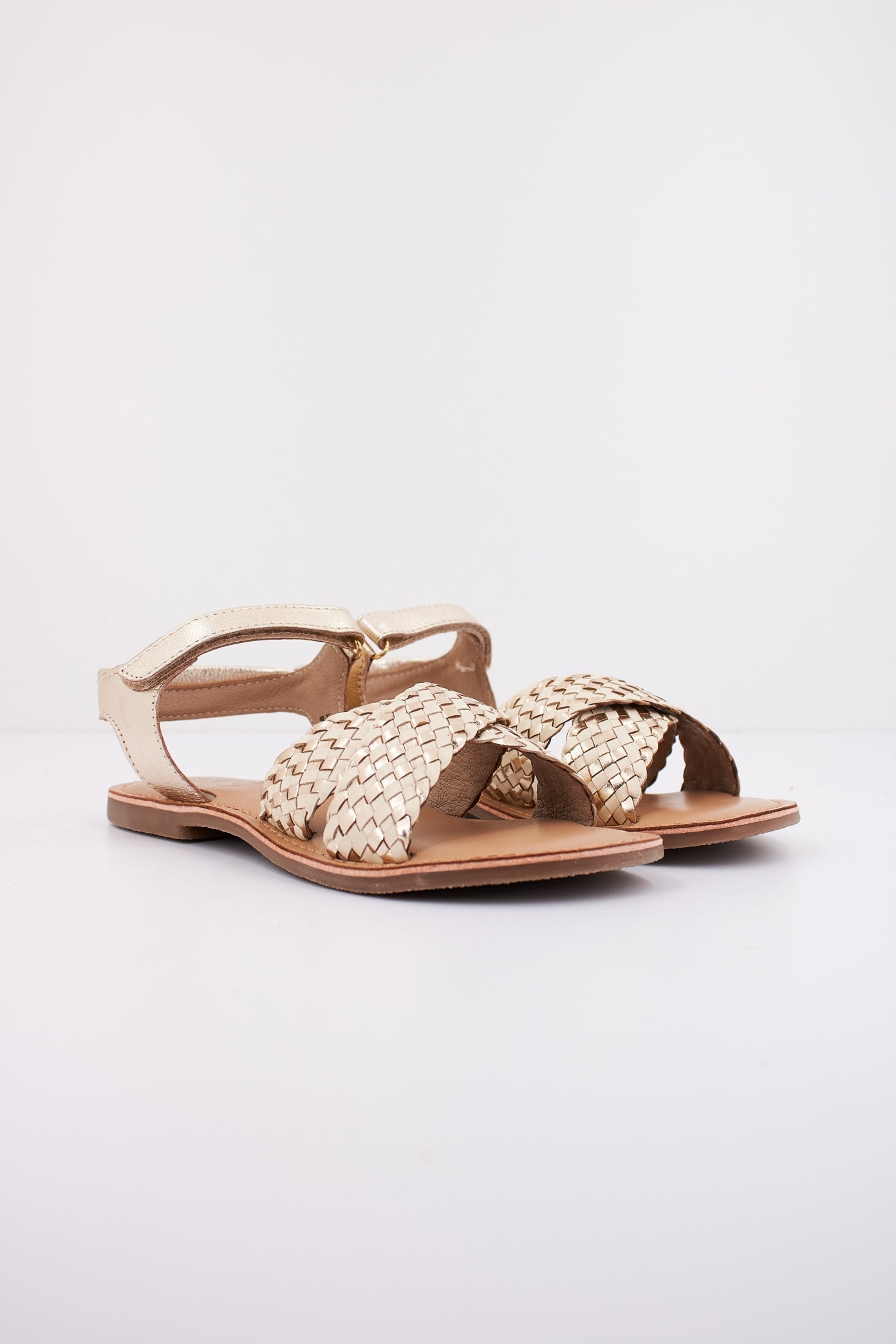 MOD  CANIBRAID en color OR  (2)